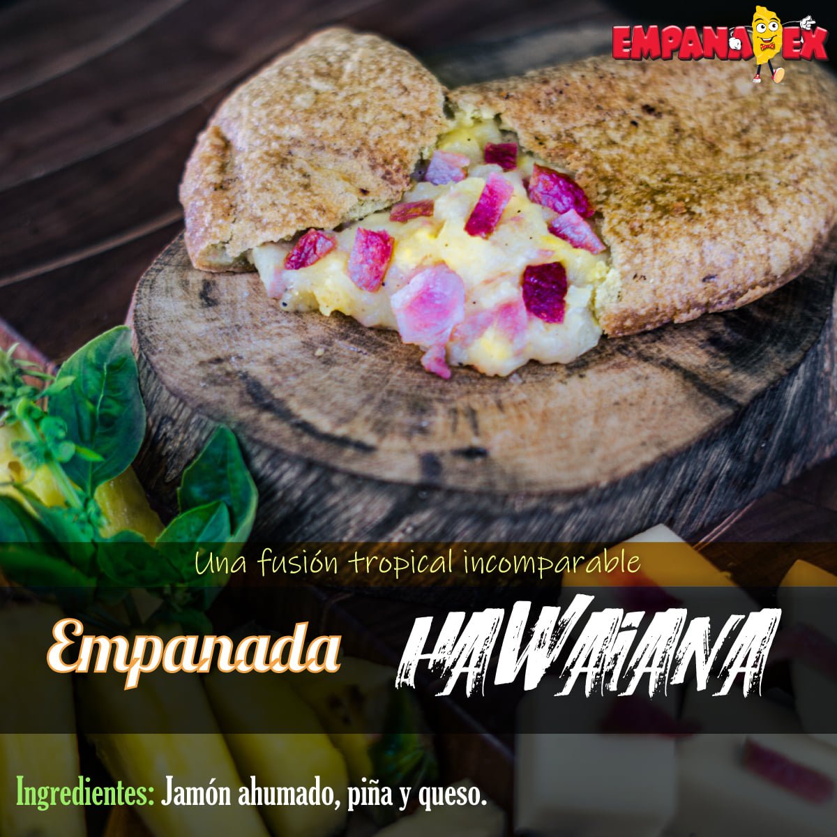 empanadex5